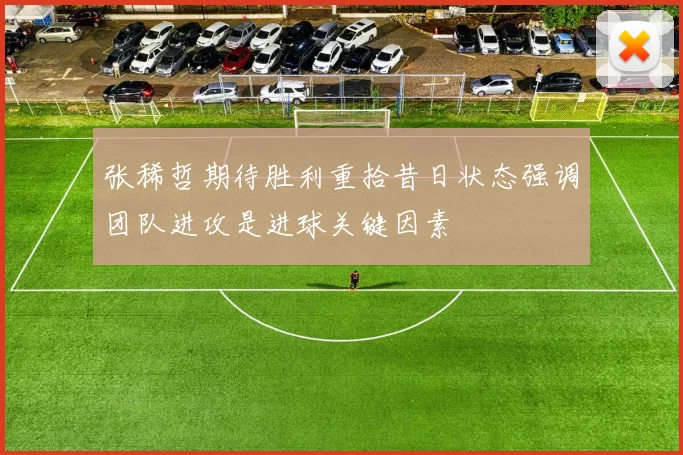 张稀哲期待胜利重拾昔日状态强调团队进攻是进球关键因素